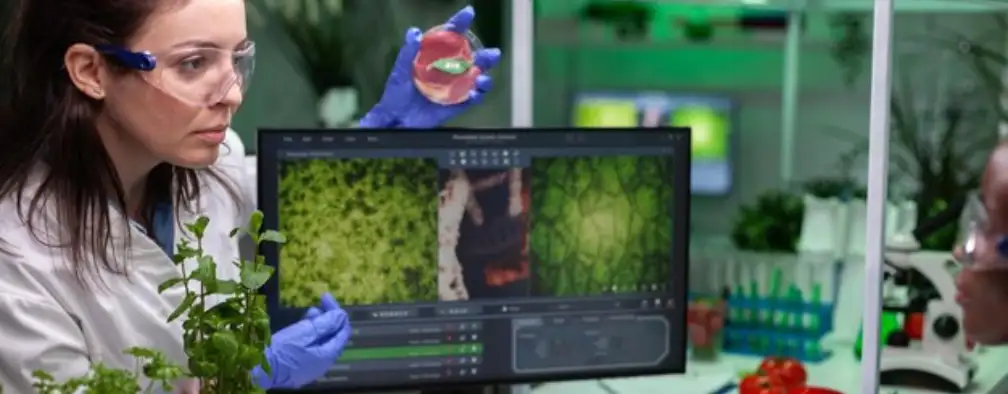 students-achievement