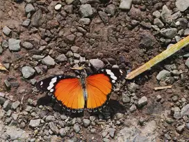 students-achievement