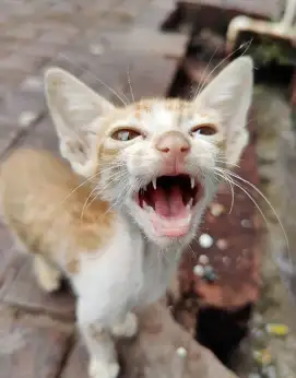 students-achievement