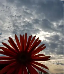 students-achievement