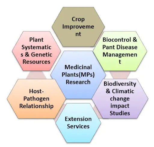 students-achievement