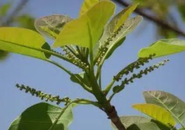 students-achievement